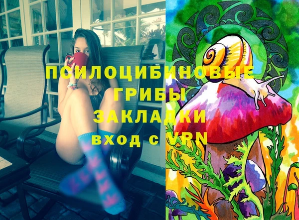 соль курить ск Новодвинск
