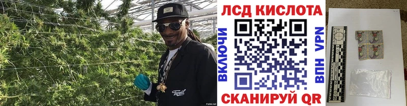 omg зеркало Чернушка Наркотические марки 1,5мг