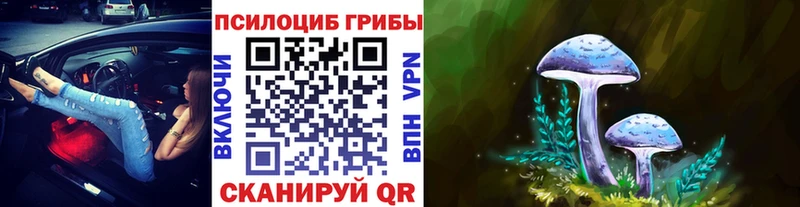 Галлюциногенные грибы Magic Shrooms  Чернушка 