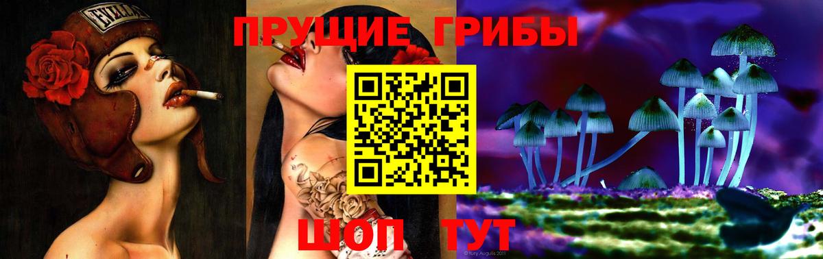 Галлюциногенные грибы GOLDEN TEACHER  Псилоцибиновые грибы Psilocybe  Вход с VPN  Чернушка 