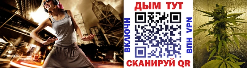 Конопля индика  Чернушка 